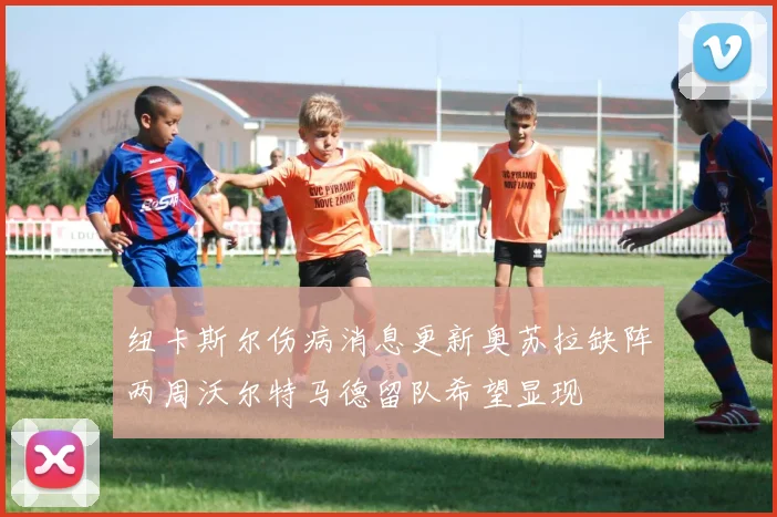 纽卡斯尔伤病消息更新奥苏拉缺阵两周沃尔特马德留队希望显现