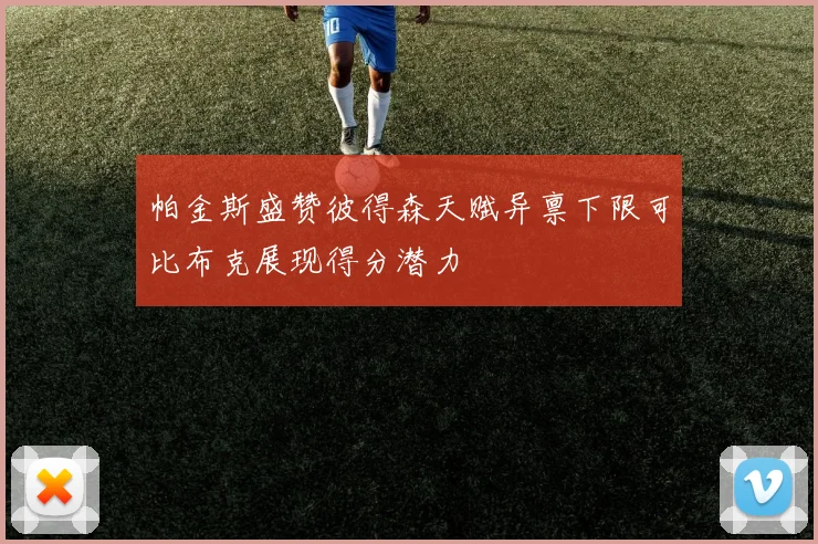 帕金斯盛赞彼得森天赋异禀下限可比布克展现得分潜力
